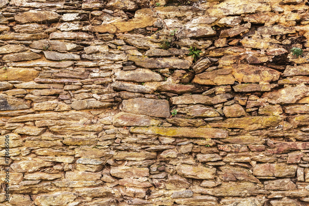 Fototapeta premium Natursteinmauer