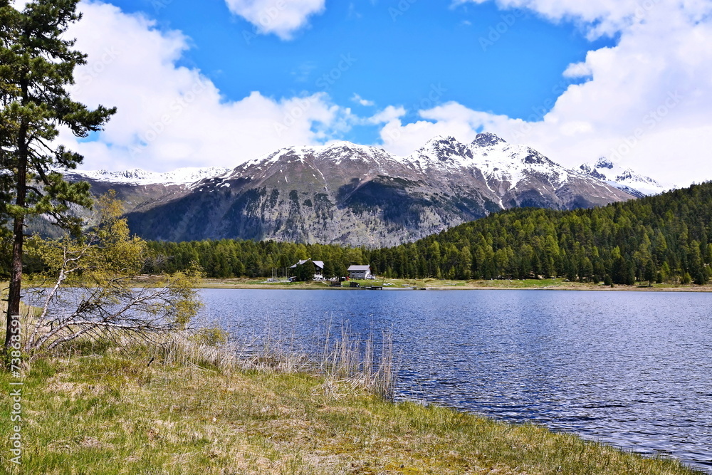 Swiss Alps-Lake of  Staz