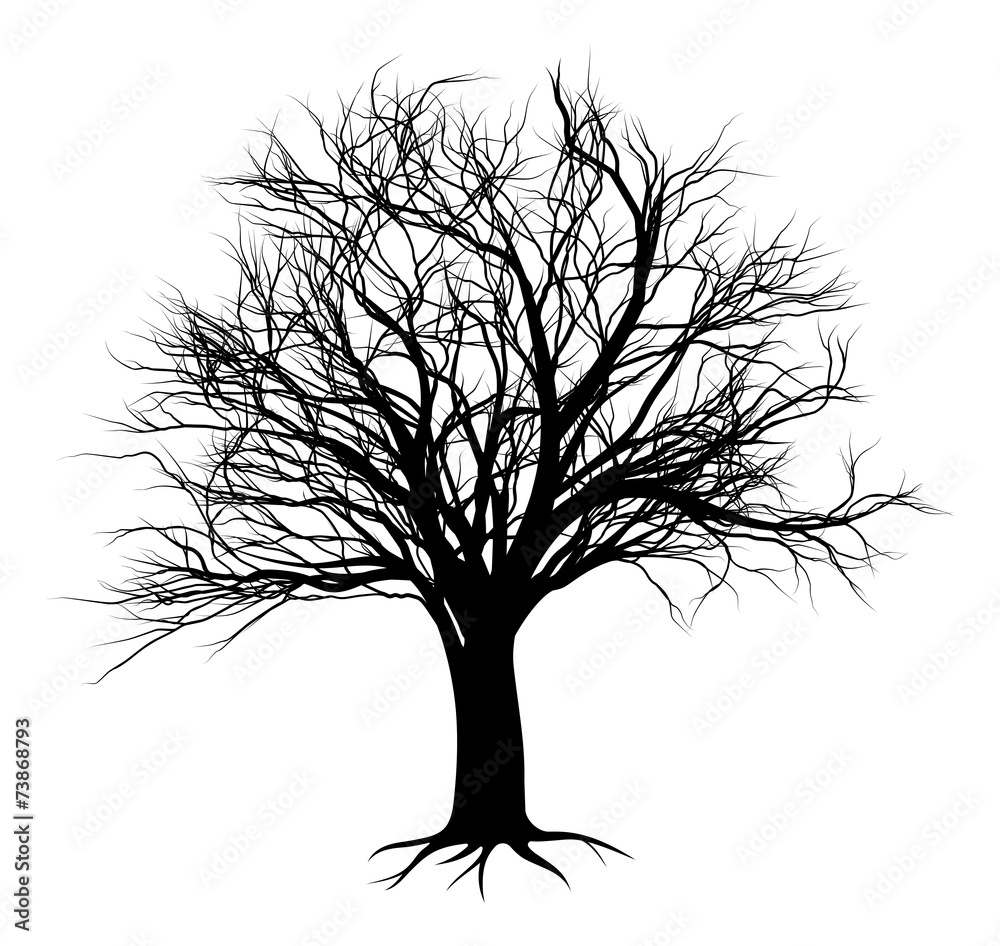 Fototapeta premium tree silhouettes 2014 A5 [Converted]