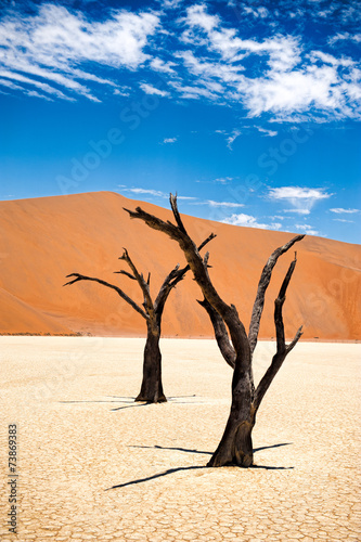 Deadvlei  Sossusvlei Namibia