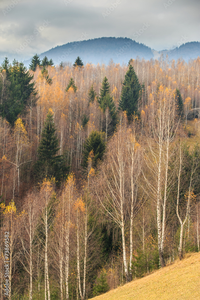 Autumn scenery in rural area in Transylvania