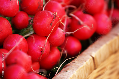 Billede på lærred Farm Fresh Radishes