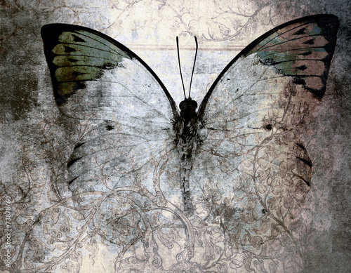 Fototapeta Motyl w stylu grunge