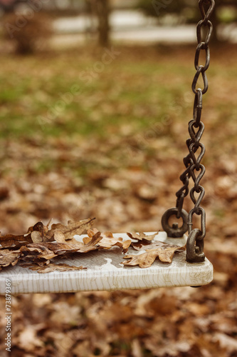 Empty swing with leaves in the autumn season © Brilliant Eye