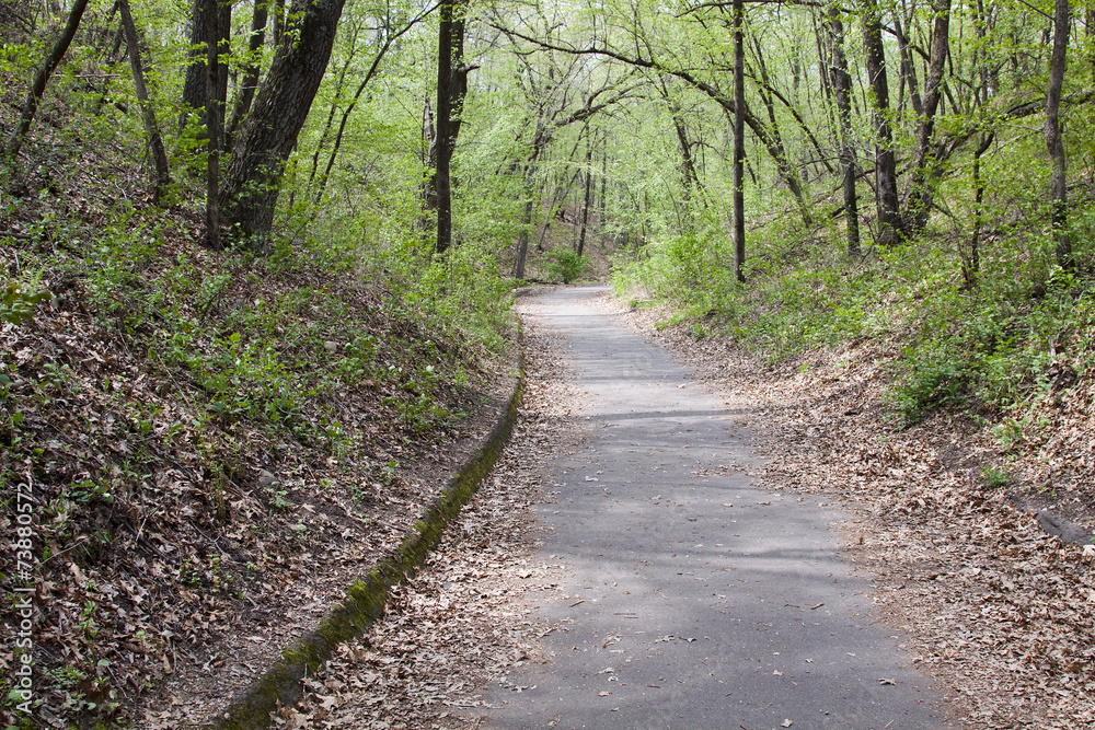 Spring Trail Scenic Spring Trail Scenic