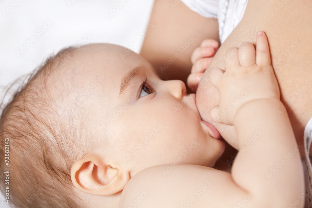 Baby breastfeeding - Stock Image - M831/0331 - Science Photo Library