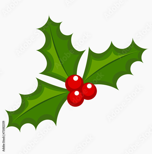 Holly berry vector