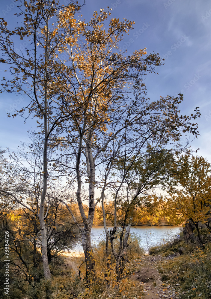 Autumn landscape with colored trees Autumn landscape with colored trees