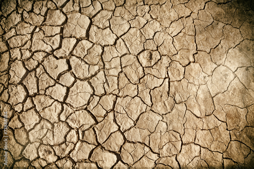 Cracked Earth Grunge Background Cracked Earth Grunge Background