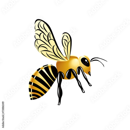 Gold glossy illustrated wasp, striped yellow insect on white bac