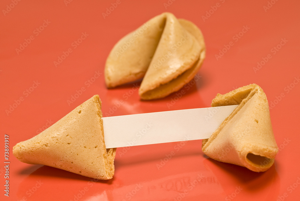 Blank Fortune Cookie