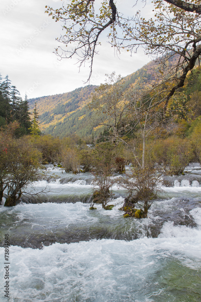 Obraz premium water stream in nation park