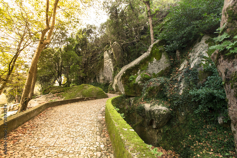 Cobblestone road to the palace foam among the rocks and trees Cobblestone road to the palace foam among the rocks and trees