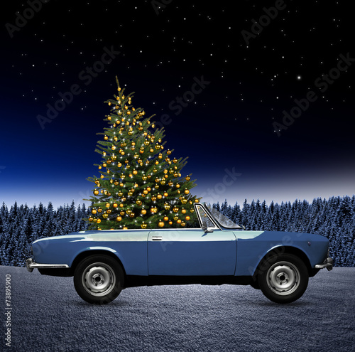 Weihnachtsbaum im Caprio