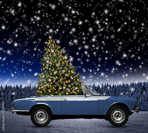 Weihnachtsbaum im Caprio