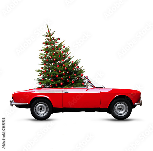 Weihnachtsbaum im Roten Caprio