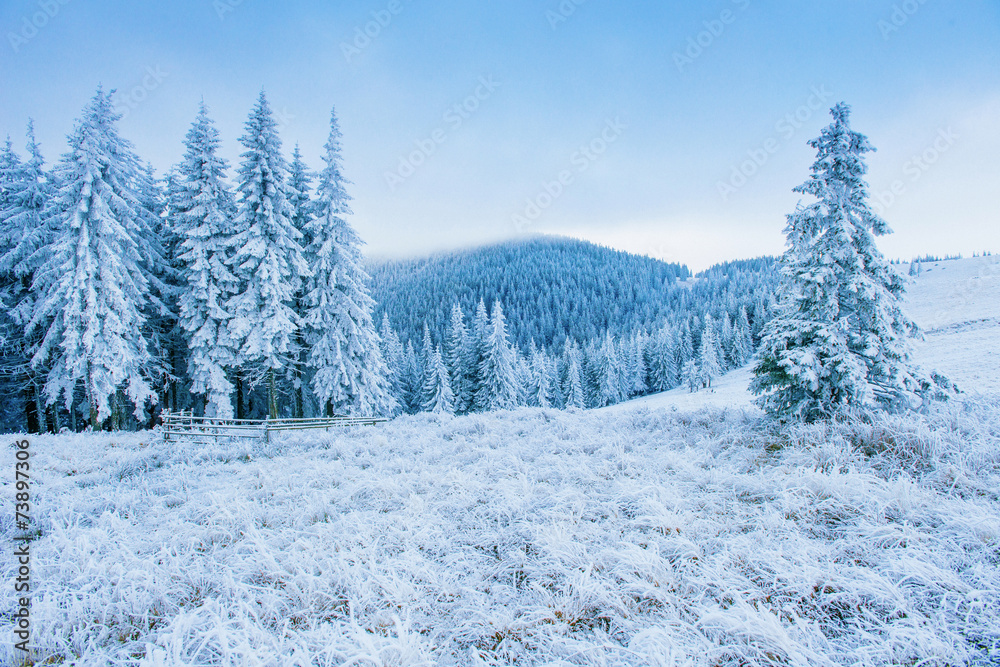 frost in winter mountains