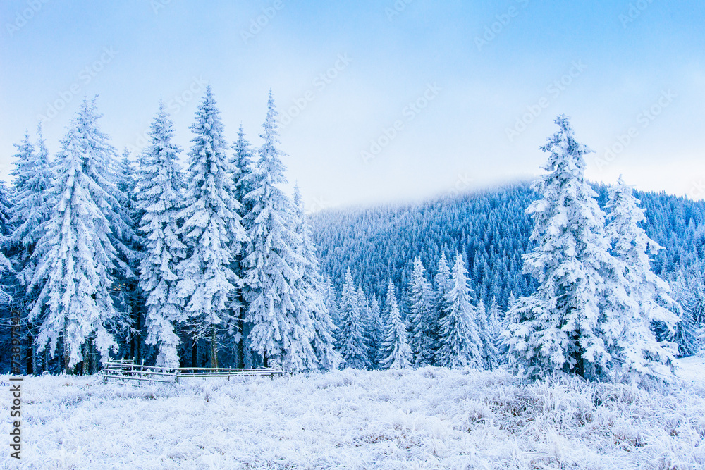 frost in winter mountains