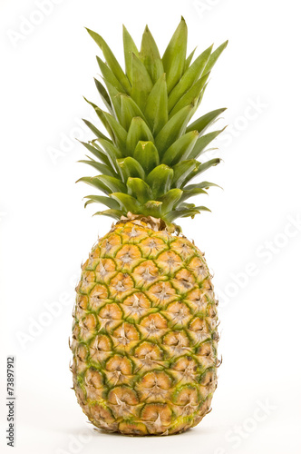 Lone Pineapple