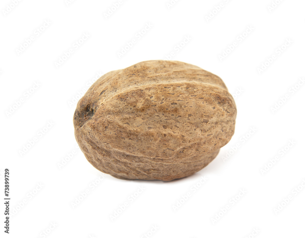 nutmeg isolated