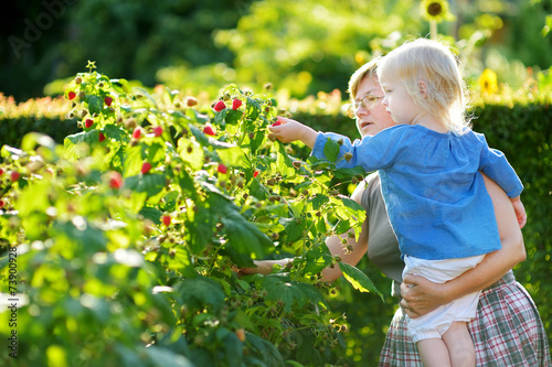 Grandmother and her baby girl picking raspberries