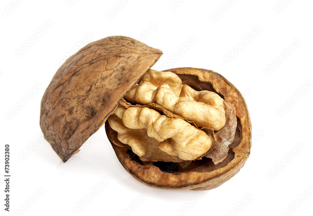 Dried walnuts isolated on white background Dried walnuts isolated on white background