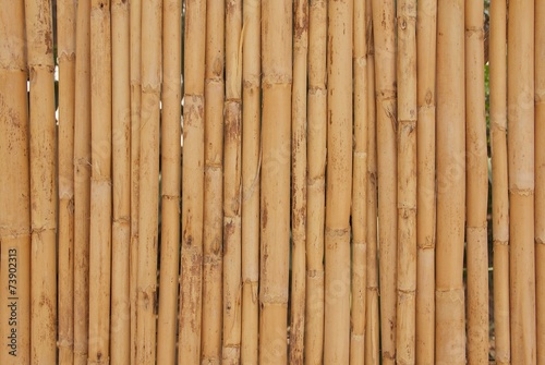 Fototapeta Naklejka Na Ścianę i Meble -  Dried bamboo sticks - background