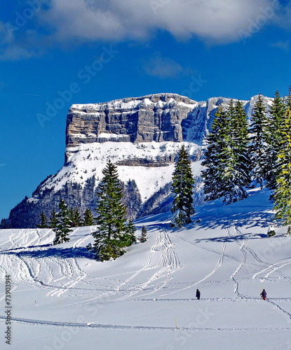 massif du granier sous la neige