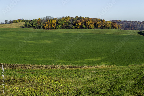 Green Field