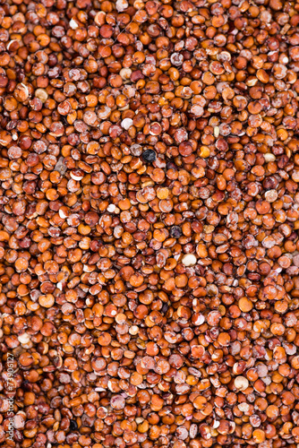 Red Quinoa Background