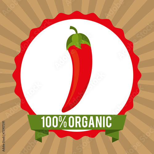 organic healthy food design