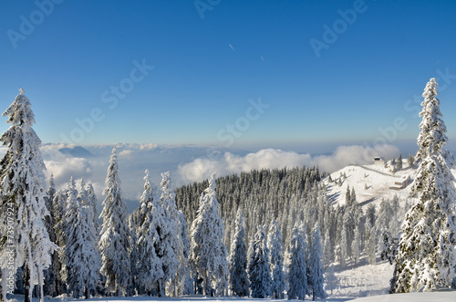 Mountain landscape with snow on trees and blue sky, altitude
