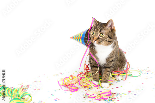 Photography party kater