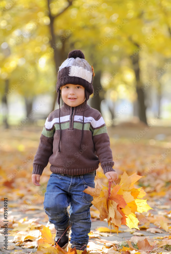 The charming kid plays among autumn gold foliage The charming kid plays among autumn gold foliage