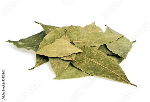Bay Leaves isolated on white background
