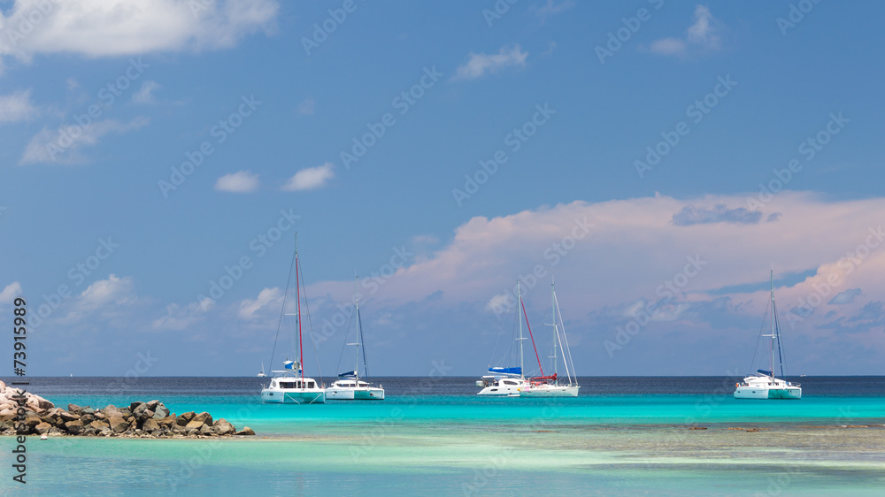 White yachts