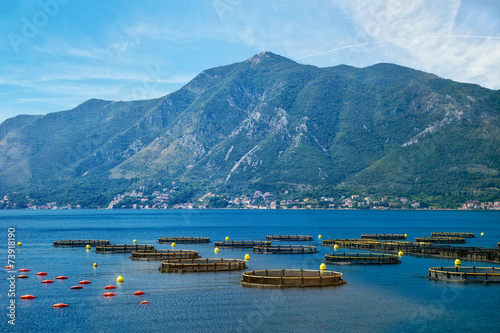 Fish breeding with tanks directly into the sea, Croatia.