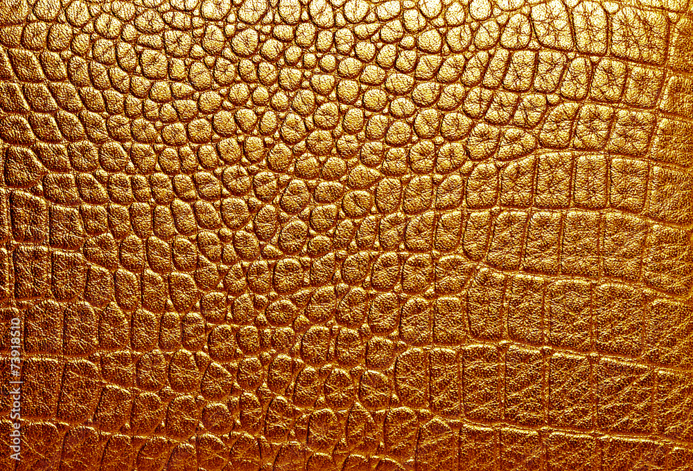 Crocodile leather, can use as background