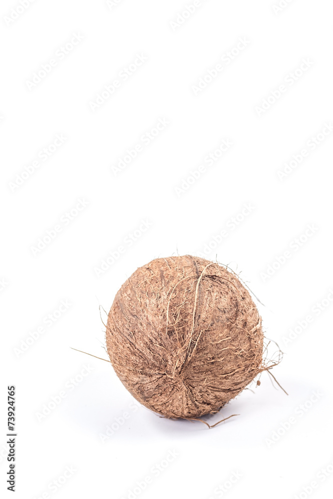 coconut isolated on white background coconut isolated on white background