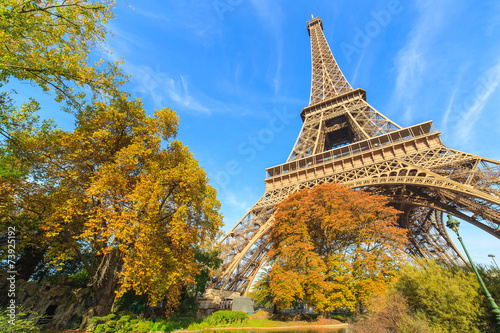 View of a park and Eiffel Tower, Paris, France © Marcin Krzyzak