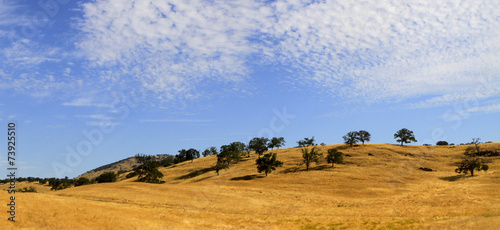 paysage de Californie du Nord © fannyes