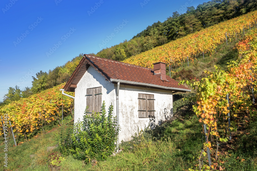 Häuschen im herbstlichen Weinberg Häuschen im herbstlichen Weinberg