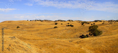 paysage de Californie du Nord © fannyes