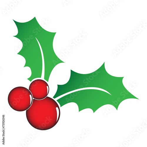 Holly berry symbol twith 2 leaves photo