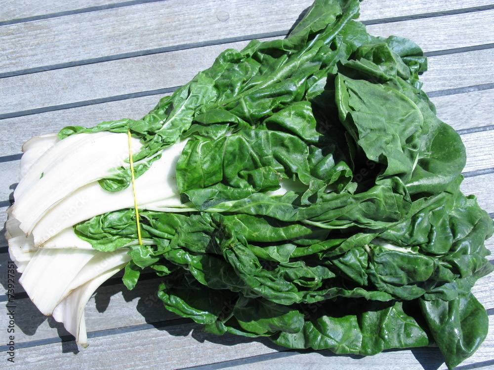 Fototapeta premium Swiss chart or Blitva from Croatia