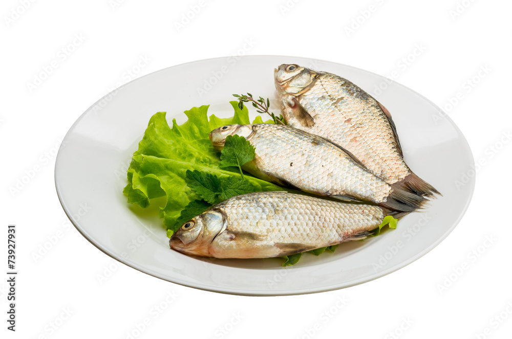 Crucian fish Crucian fish