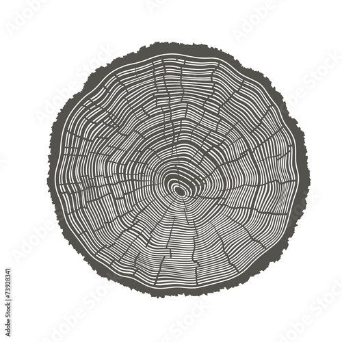 Tree Rings Illustration. Template for annual reports