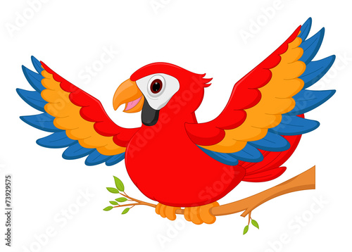 Happy macaw bird cartoon