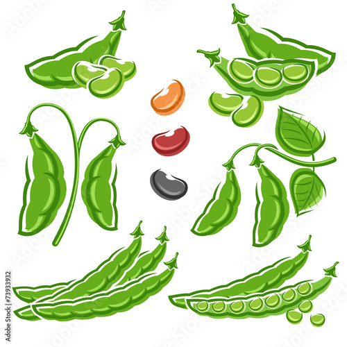 Beans set. Vector