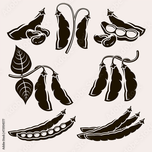 Beans set. Vector